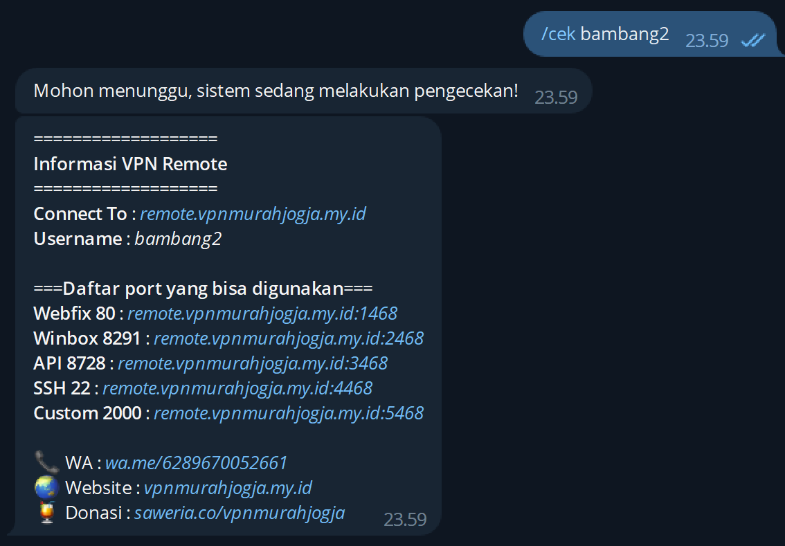Balasan bot berisi hostname dan port VPN Remote