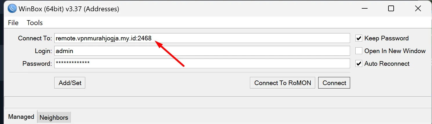 Kolom koneksi Winbox menggunakan hostname VPN Remote